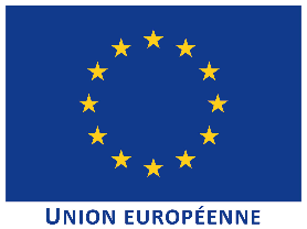 european flag tn